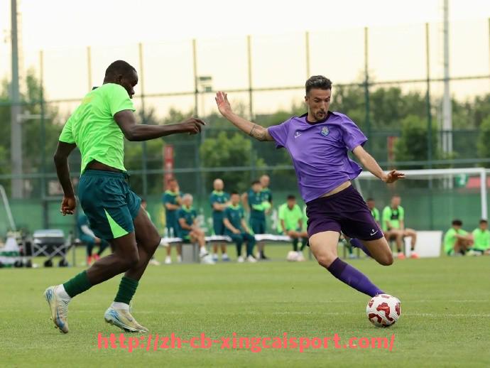 杏彩体育-英超球员身价排行榜及转会价值走势