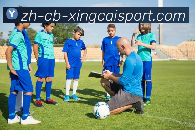 杏彩体育APP 封面图