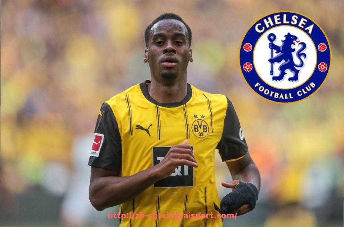 杏彩体育-虎扑NBA电脑版使用指南：社区互动与视频观看